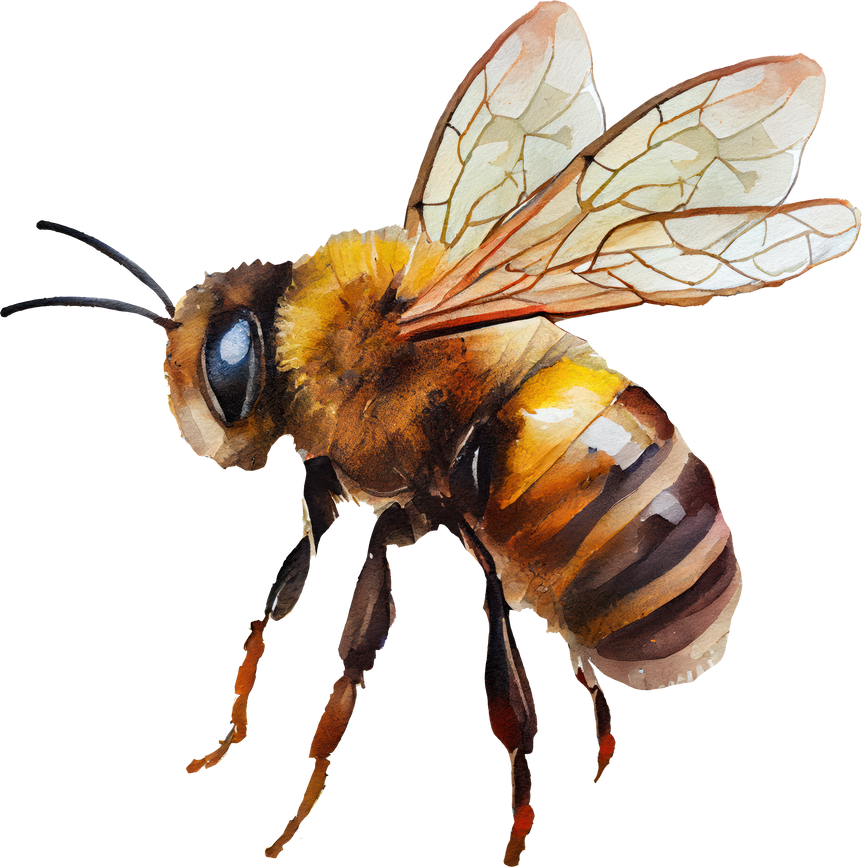 Bee watercolor illustration